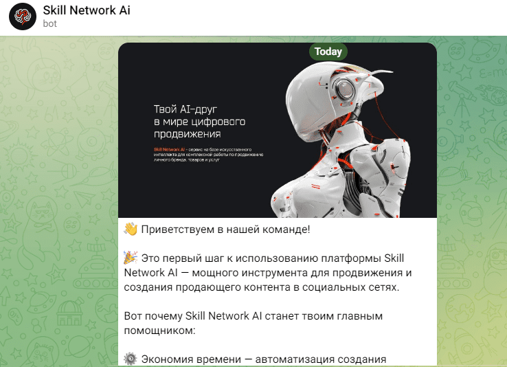 Skill Network AI: Комплексное продвижение